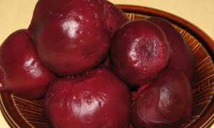 Свекла в меню при гастрите: полезные советы и рецепты