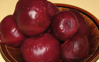 Свекла в меню при гастрите: полезные советы и рецепты