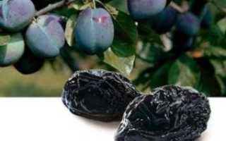 Чернослив как средство от запора: полезные свойства и рекомендации