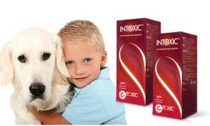 Интоксик (intoxic) от паразитов: эффективное средство для здоровья