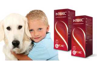 Интоксик (intoxic) от паразитов: эффективное средство для здоровья