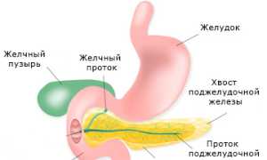 Лечение гастродуоденита народными средствами в домашних условиях