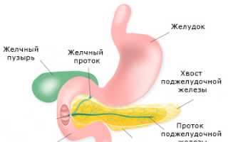 Лечение гастродуоденита народными средствами в домашних условиях