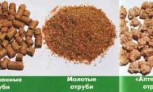 Какие отруби лучше, чтобы чистить кишечник и поддерживать здоровье