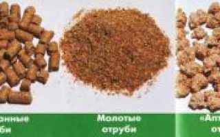 Какие отруби лучше, чтобы чистить кишечник и поддерживать здоровье