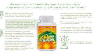 Инструкция по применению препарата Лецитин для здоровья