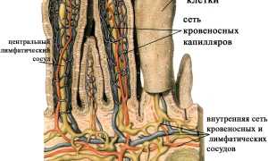 Понос со слизистыми включениями: причины и лечение