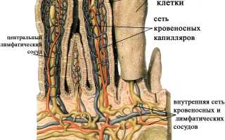 Понос со слизистыми включениями: причины и лечение