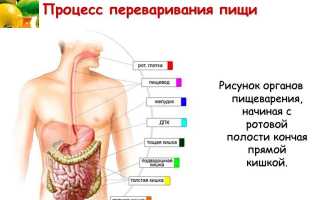 Сильное вздутие в животе: причины и рекомендации