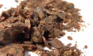 Лечение гастрита прополисом: эффективные методы и рекомендации