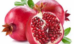 Корки граната от поноса: полезные свойства и применение