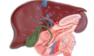 Запор у больных холециститом: причины и лечение