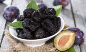 Как можно быстро вылечить геморрой дома: советы и рекомендации