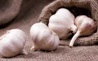 Чеснок во время гастрита: полезные свойства и рекомендации