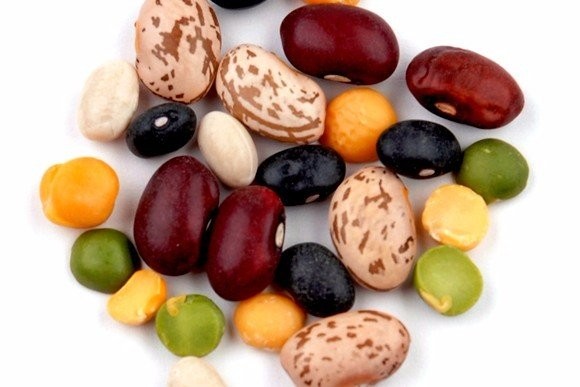 бобовые культуры