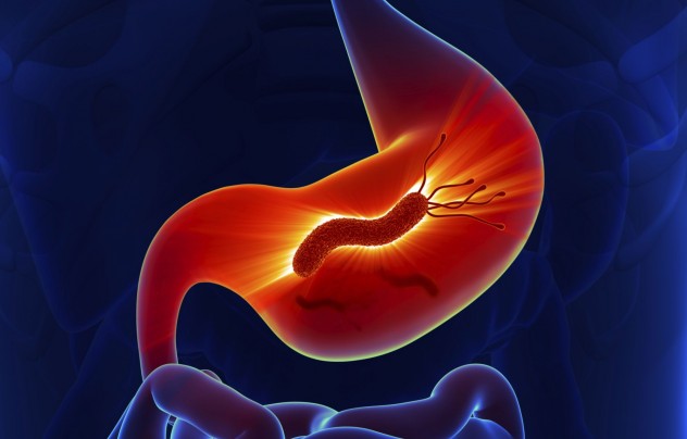 хеликобактер пилори