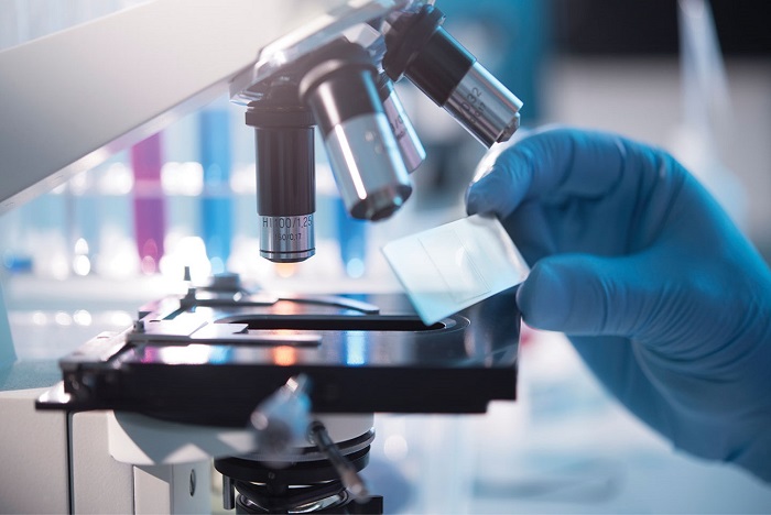 лабораторный анализ кала и крови