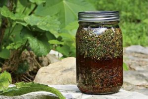 настойка полыни