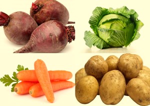 Свекла, капуста, картофель и морковь