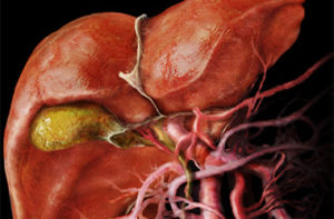 болезни печени и желчного пузыря