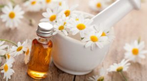 настой ромашки