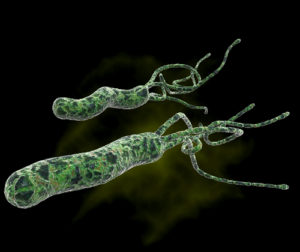 хеликобактер пилори - частая причина гастрита