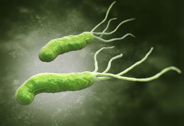 бактерия, разрущающая защитную слизь желудка