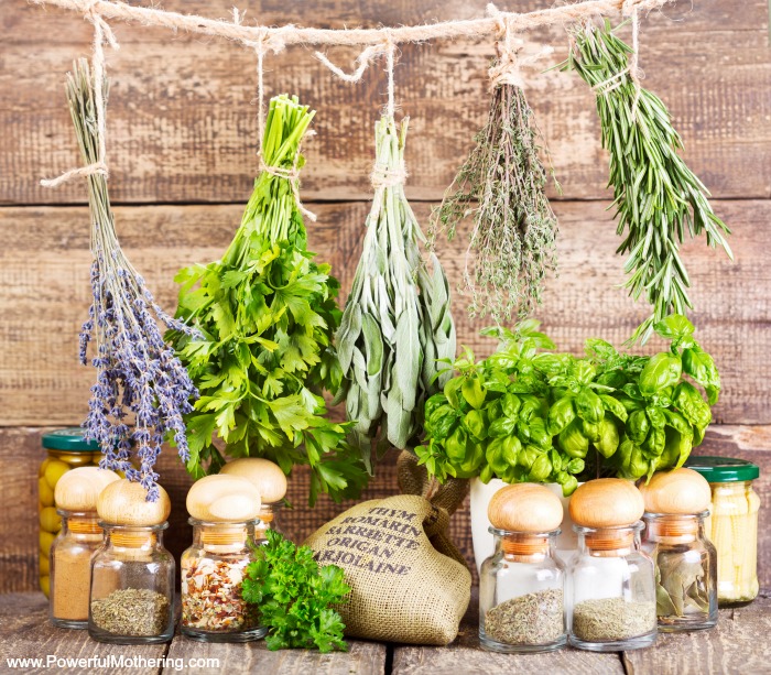 травы в составе лекарства