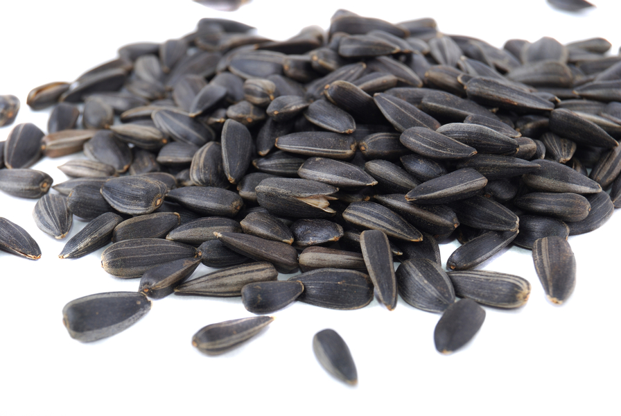 Семена подсолнечника