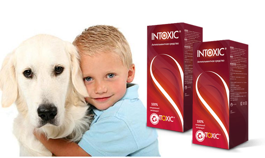 Intoxic от паразитов — это уникальное средство