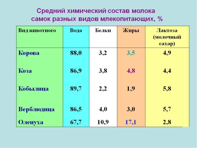 Химический состав молока