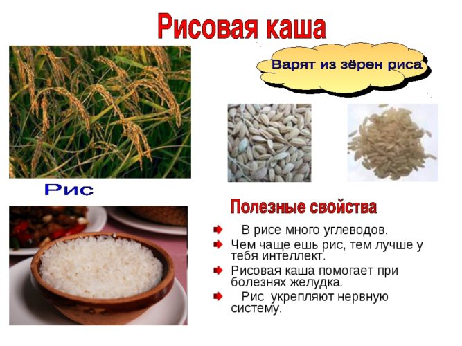 Свойства рисовой крупы