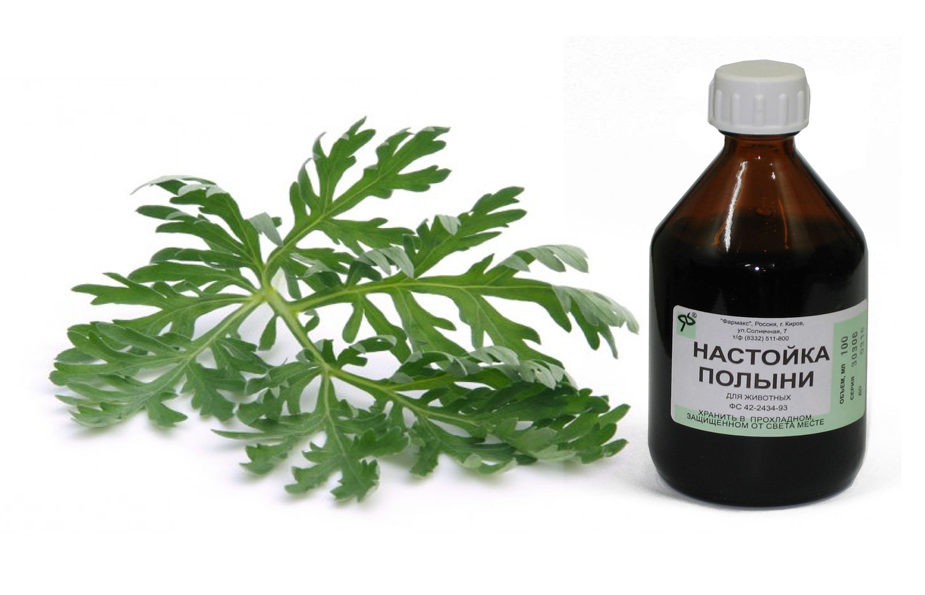 настойка полыни