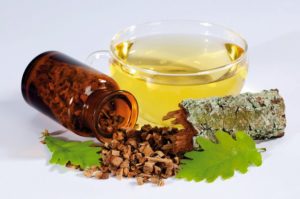 настой коры дуба