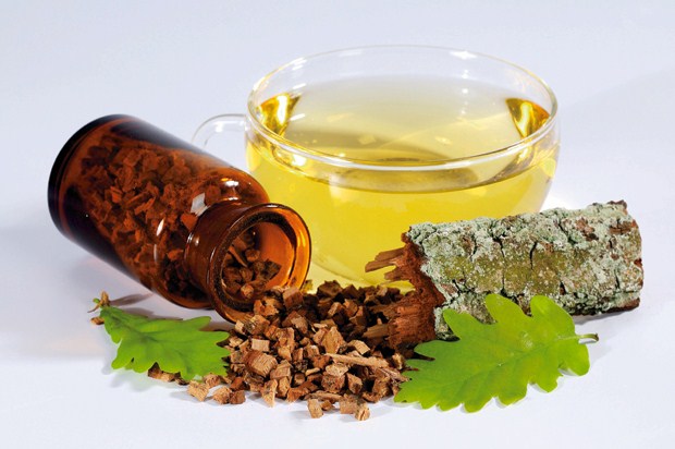 настой коры дуба