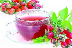 настой шиповника