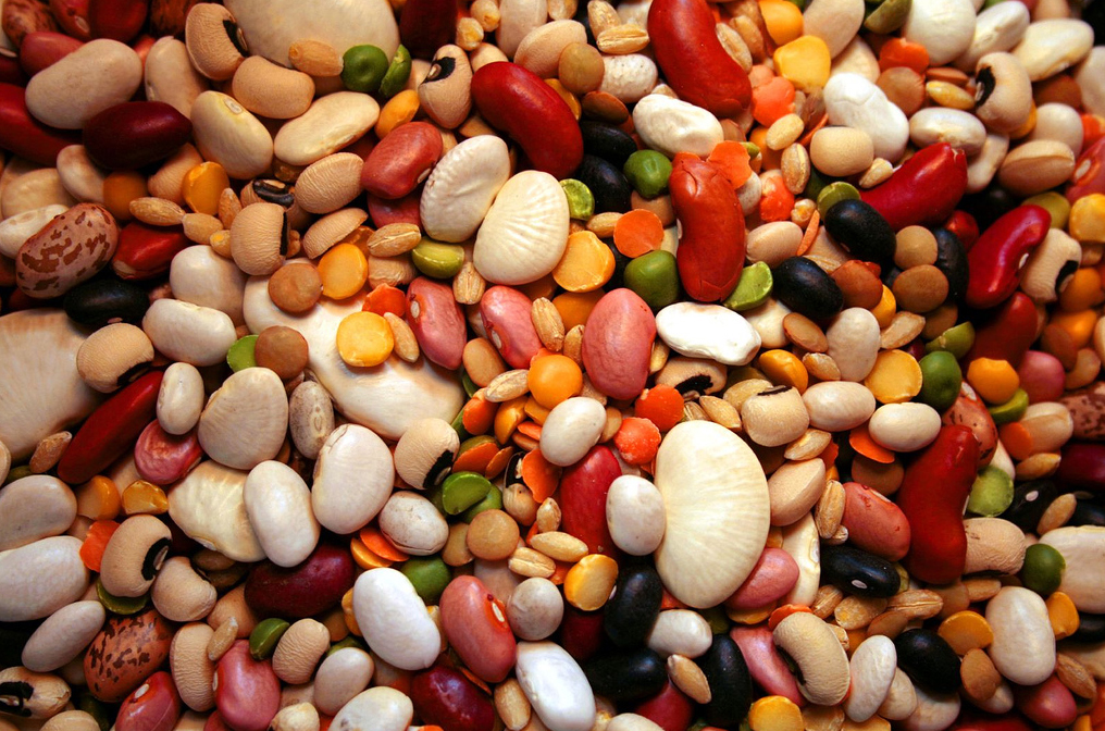 Под запретом бобовые культуры