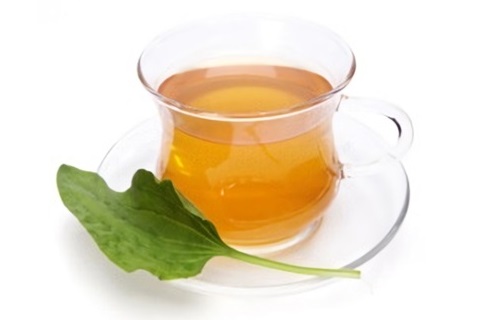 настой подорожника