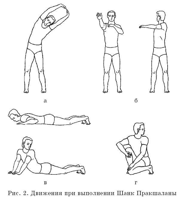 Движения при выполнении Шанк Пракшаланы