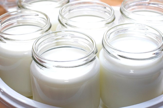 Приготовление натурального йогурта в домашних условиях
