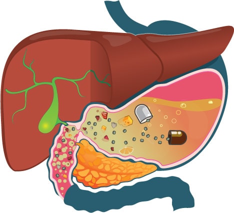 действие капсулы в желудке