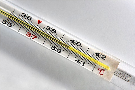 температура выше 38,5