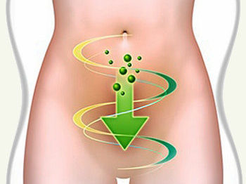 выведение шлаков