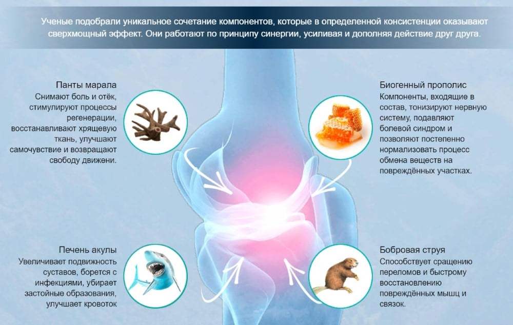 Активные компоненты Сустапрайма Активные компоненты Сустапрайма