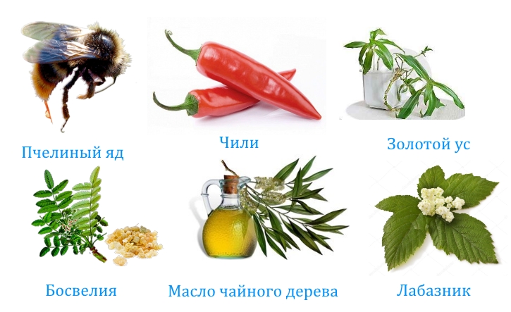 Активный состав бальзама Огаркова Активный состав бальзама Огаркова