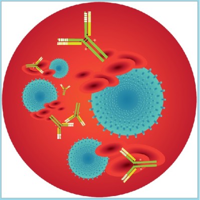 Анализ крови на ревматоидный фактор Анализ крови на ревматоидный фактор