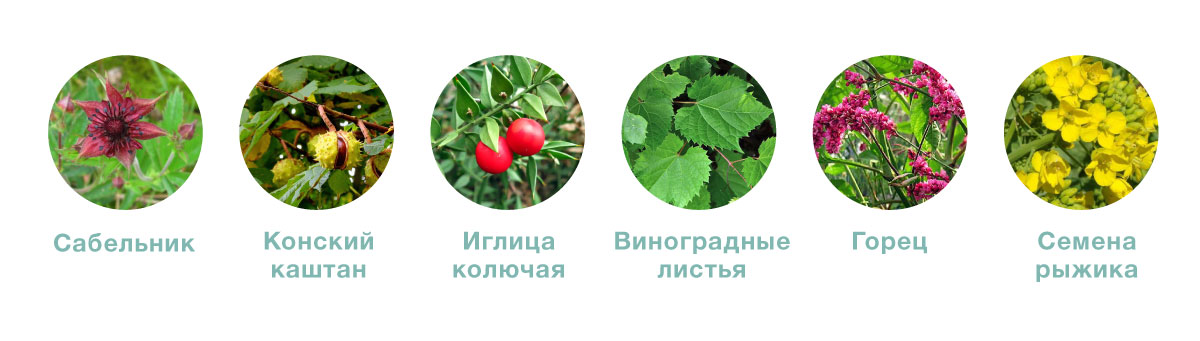 Состав бальзама Жабий камень Состав бальзама Жабий камень