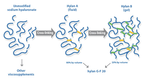 Действие Hylan G-F 20 Действие Hylan G-F 20