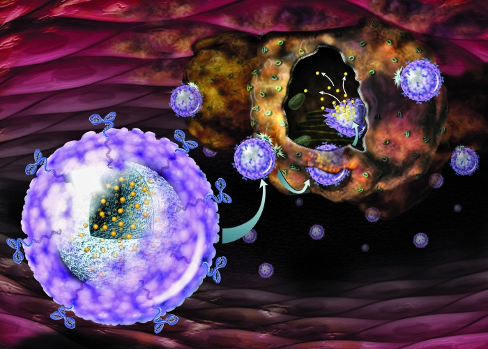 Действие пластыря Nano Patch GS Действие пластыря Nano Patch GS