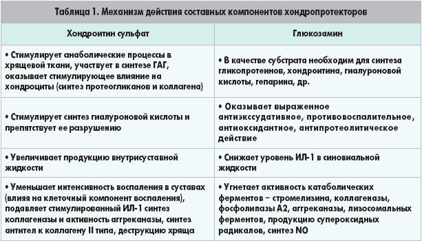 Действие составных компонентов хондропротекторов Действие составных компонентов хондропротекторов